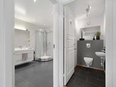 Ducha: Columna de ducha — Hansgrohe Raindance